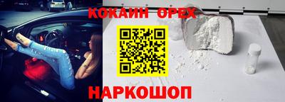 дмт Бийск
