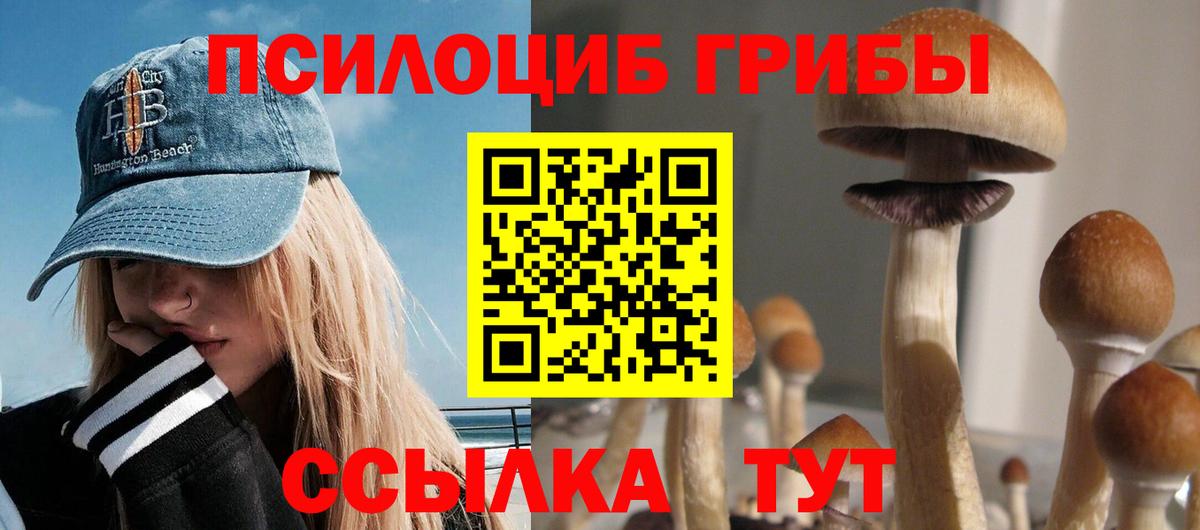 Галлюциногенные грибы мицелий Звенигород